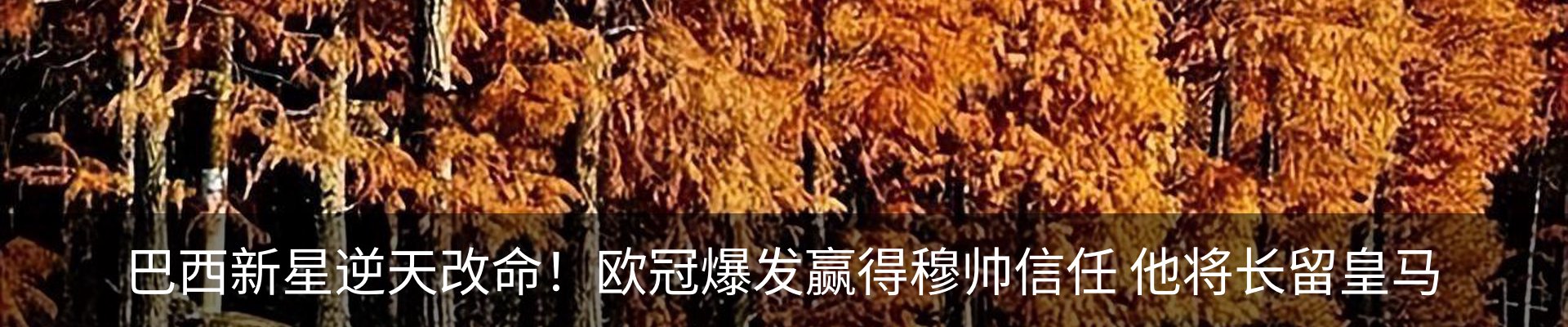 新闻中心